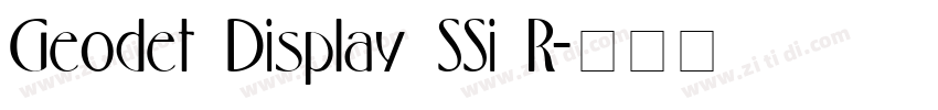 Geodet Display SSi R字体转换